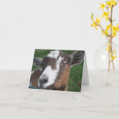 De Lege kaart van de geit (Gele Bloem)