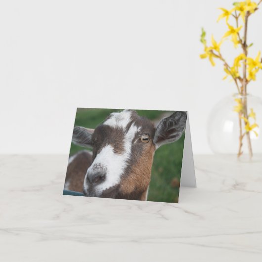 De Lege kaart van de geit (Gele Bloem)