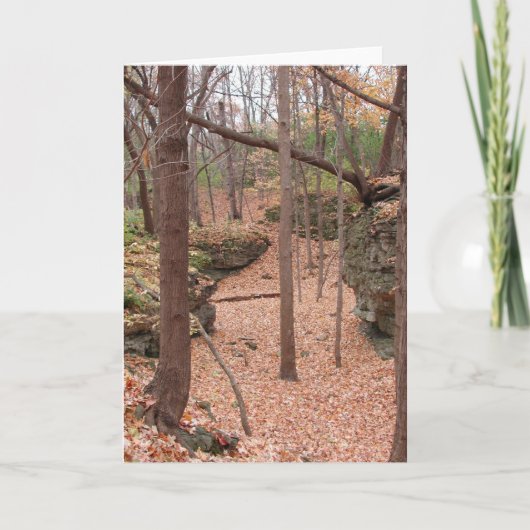 De Lege Kaart van de herfst ~ (Voorkant)