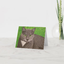 De lege kaart van de Kat van Smokey