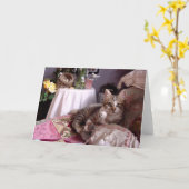 De lege Kaart van de Nota (Gele Bloem)