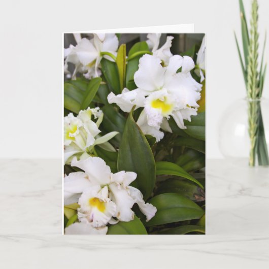 De lege Kaart van de Nota (Voorkant)