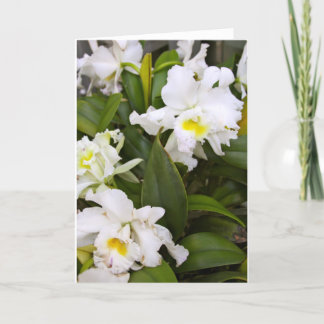 De lege Kaart van de Nota