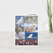 De lege Kaart van de Nota (Voorkant)