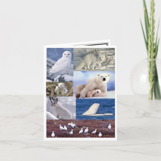 De lege Kaart van de Nota (Voorkant)