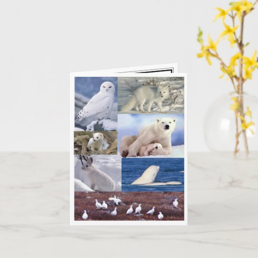 De lege Kaart van de Nota (Gele Bloem)