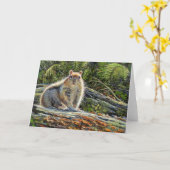 De Lege Kaart van de Nota "Chippy" (Gele Bloem)