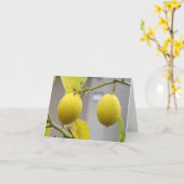 De lege Kaart van de Nota -- Citroenen (Gele Bloem)