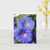 De lege Kaart van de Nota, de Glorie van de (Gele Bloem)