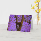 De lege Kaart van de Nota van het Nest (Gele Bloem)