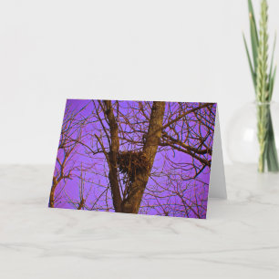 De lege Kaart van de Nota van het Nest