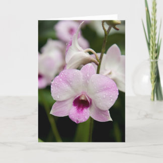 De Lege Kaart van de paarse Orchidee