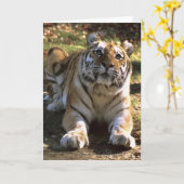 De Lege Kaart van de tijger (Gele Bloem)