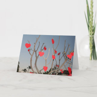 De lege kaart van de Valentijnsdag