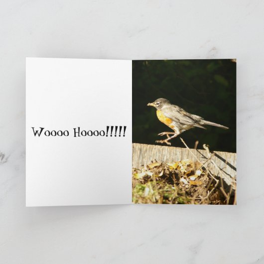 De lege Kaart van de Viering van het Nest (Binnen)