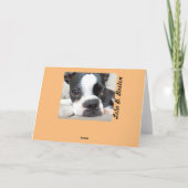 De lege Kaart van Pasen - Lola B. Boston (Achterkant)