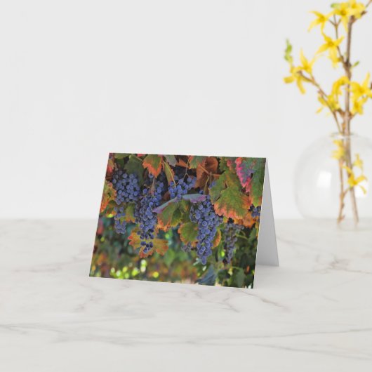 De lege Kaarten van de Nota van de Wijn (Gele Bloem)