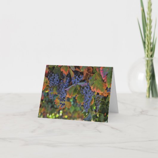 De lege Kaarten van de Nota van de Wijn (Voorkant)