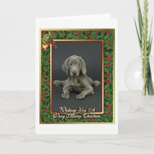 De Lege Kerstkaart van de Hond van Weimaraner Feestdagen Kaart (Voorkant)