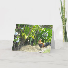 De Lege Natuur van de haan Kaart