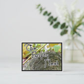 De lege nest visitekaartje (Staand voorkant)