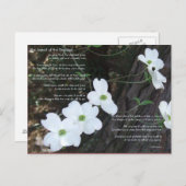 De legende van de Dogwood Briefkaart (Voorkant / Achterkant)
