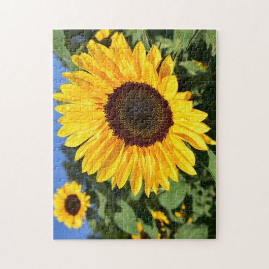 De Legpuzzel Fabriek Songbirds Sunflower, Spr (Verticaal)