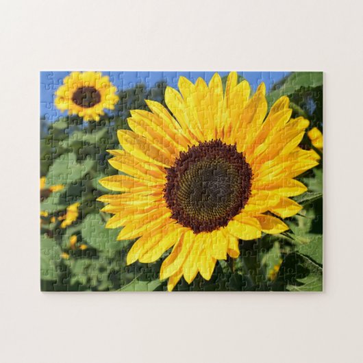 De Legpuzzel Fabriek Zangvogels Zonnebloem, Lent (Horizontaal)