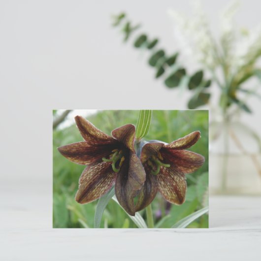 De Lelie van de chocolade, Eiland Unalaska Briefkaart (Staand voorkant)