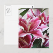 De Lelie van de dromer Briefkaart (Voorkant / Achterkant)