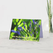 De Lelie van de onweerswolk van de Kaart van Nijl (Achterkant)