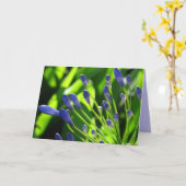 De Lelie van de onweerswolk van de Kaart van Nijl (Gele Bloem)