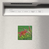 De Lelies van de tijger Magneet (Insitu (Vaatwasser))
