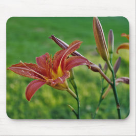 De Lelies van de tijger Muismat