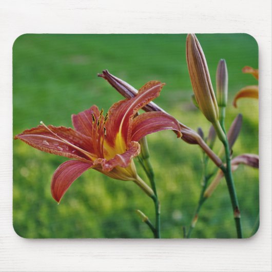 De Lelies van de tijger Muismat (Voorkant)