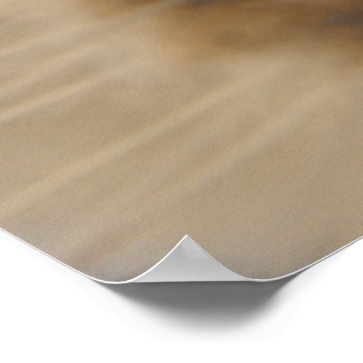 de lelijkste kat ter wereld poster (Hoek)