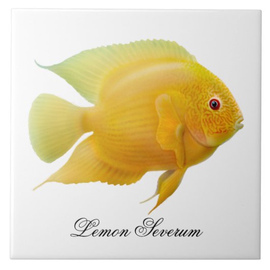 De Lemon Severum Cichlid Fish Tile Tegeltje (Voorkant)