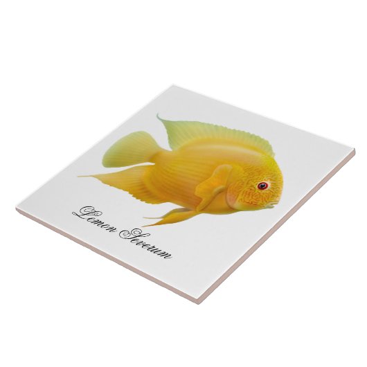 De Lemon Severum Cichlid Fish Tile Tegeltje (Zijkant)