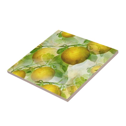 De Lemons Tegeltje (Zijkant)