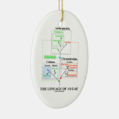 De lengte van de algenevolutionaire biologie keramisch ornament (Rechts)