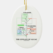 De lengte van de algenevolutionaire biologie keramisch ornament (Achterkant)