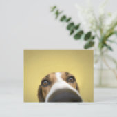 de lensreiniger briefkaart (Staand voorkant)