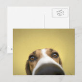 de lensreiniger briefkaart (Voorkant / Achterkant)