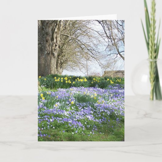 De lente bloeit de Kaart van Groeten (Voorkant)