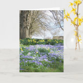 De lente bloeit de Kaart van Groeten (Gele Bloem)