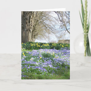 De lente bloeit de Kaart van Groeten