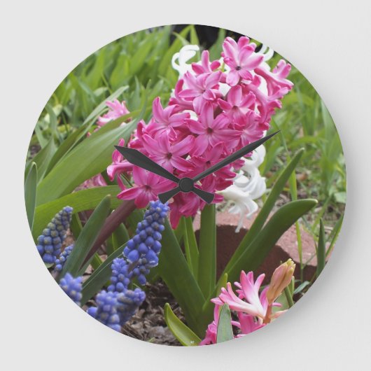 De lente bloeit de Klok van de Muur (Voorkant)