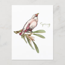 De lente bloeit vogels. Sneeuwdruppels.