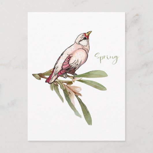 De lente bloeit vogels. Sneeuwdruppels. Feestdagenkaart (Voorkant)