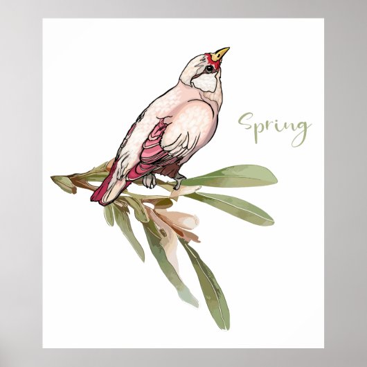 De lente bloeit vogels. Sneeuwdruppels. Poster (Voorkant)